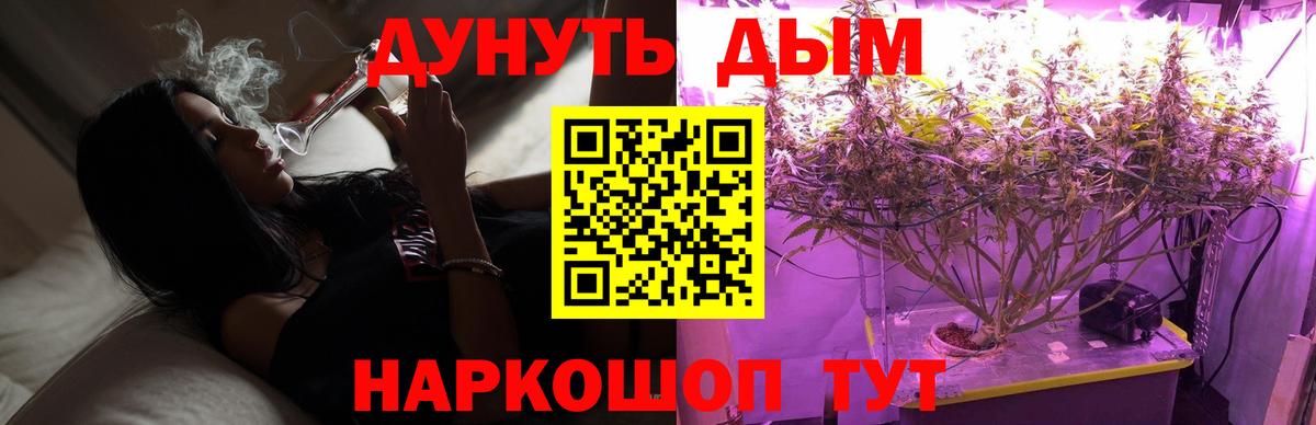 Канабис конопля  Вход с VPN  Каннабис White Widow  Бийск  Шишки марихуана план 